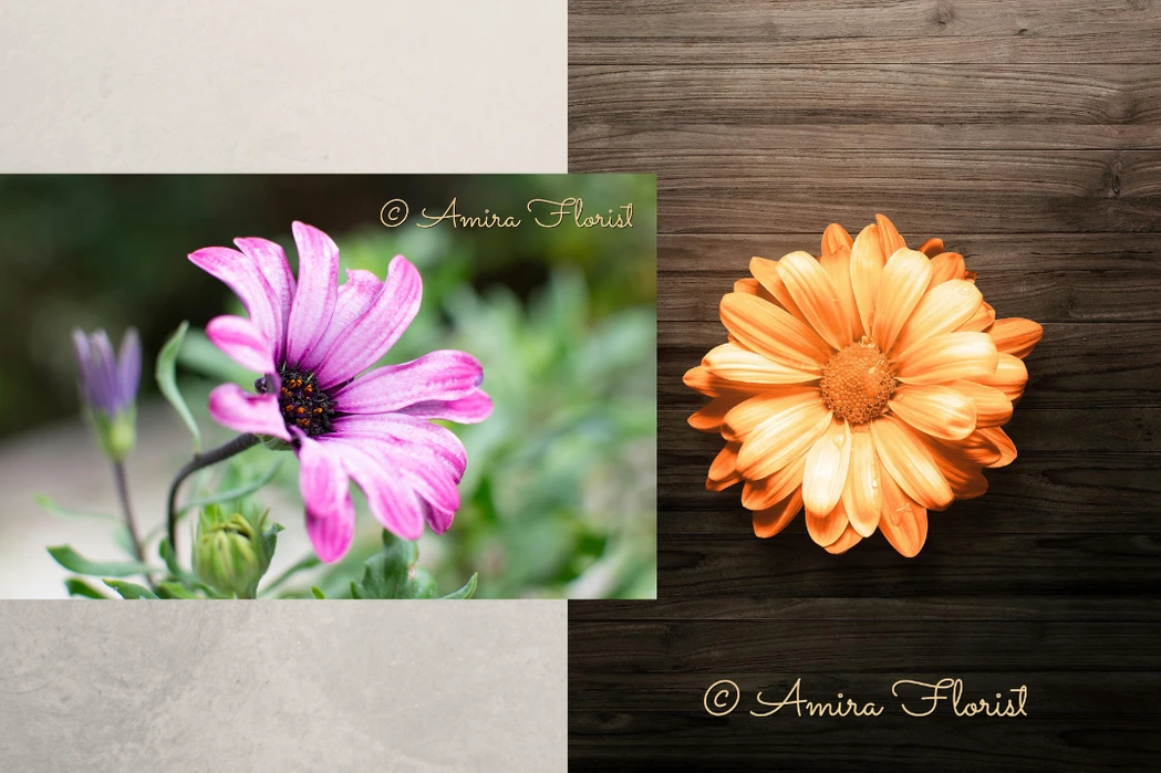 add watermark to photo