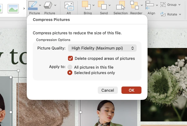 como compactar fotos no PowerPoint
