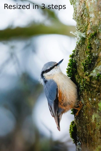 resize image without quality loss