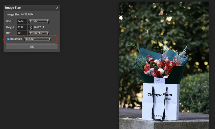 how to resize an image without losing quality photopea