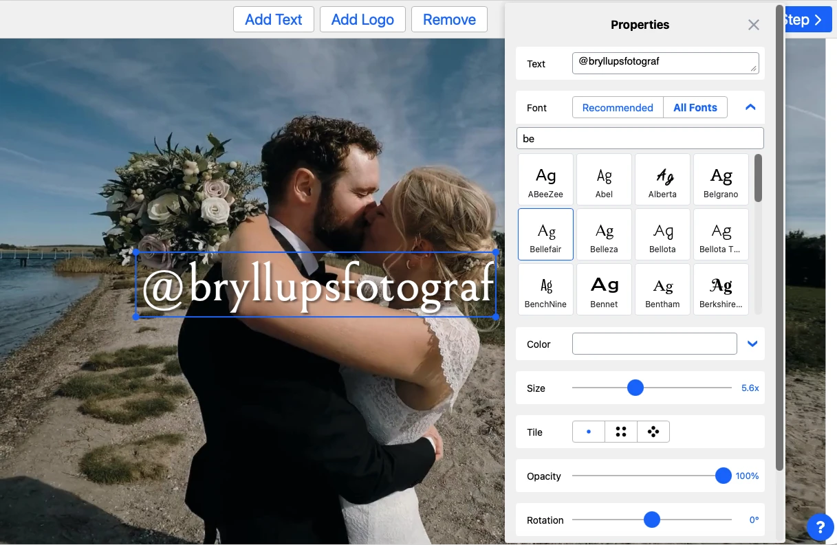 software watermark video