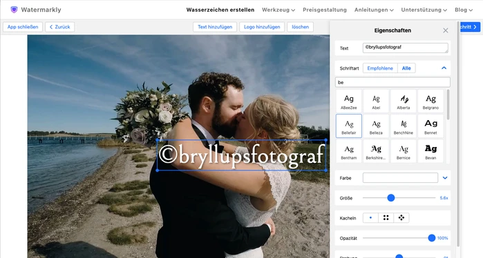 Video-Wasserzeichen-Software