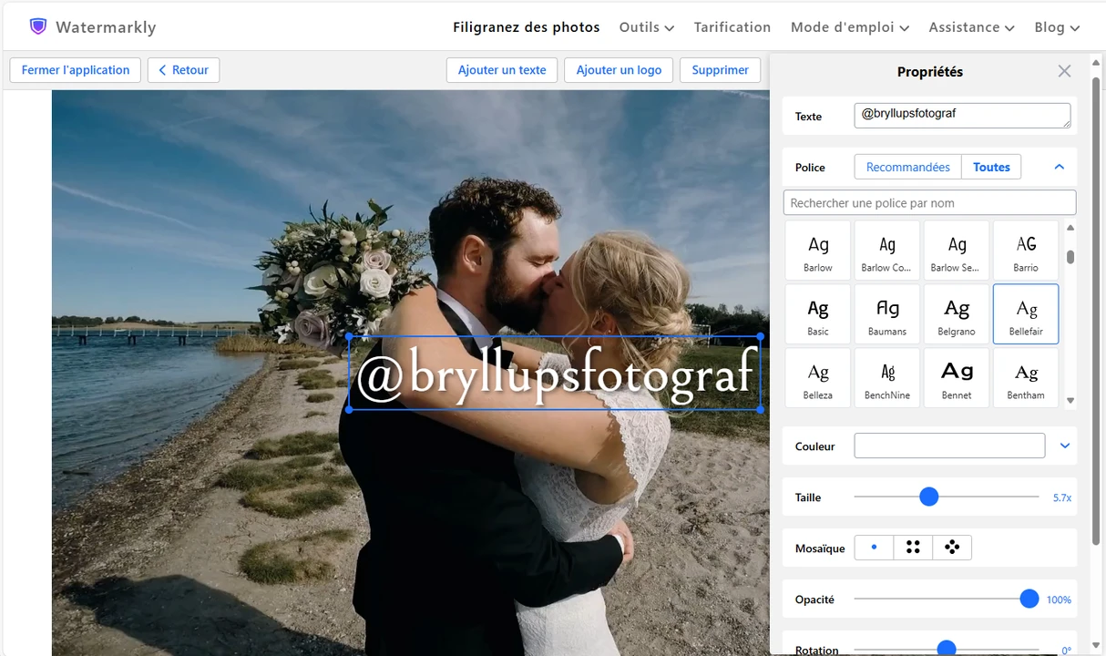 logiciel de filigrane vidéo