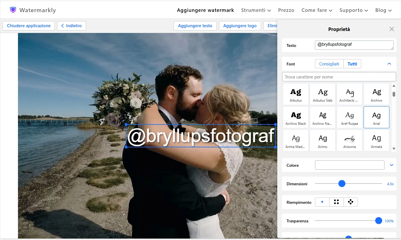 software per filigrana video